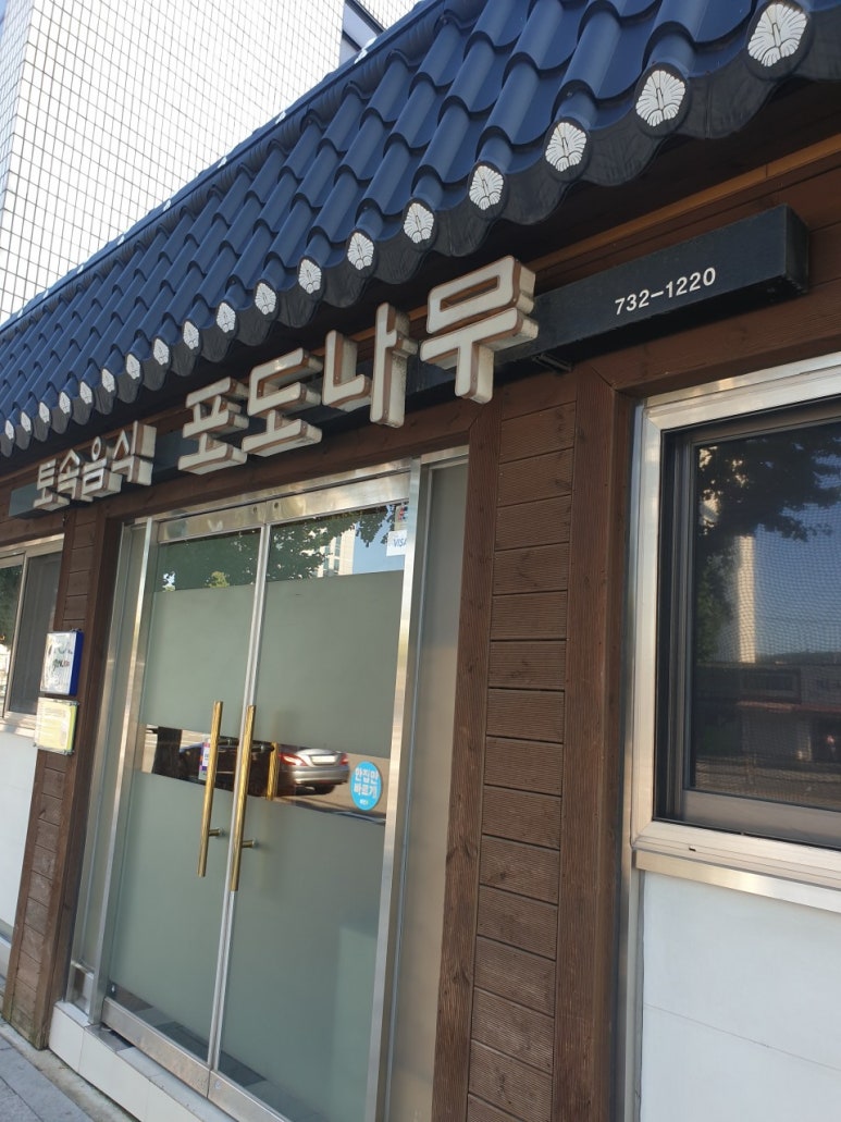 포도나무 사진 2