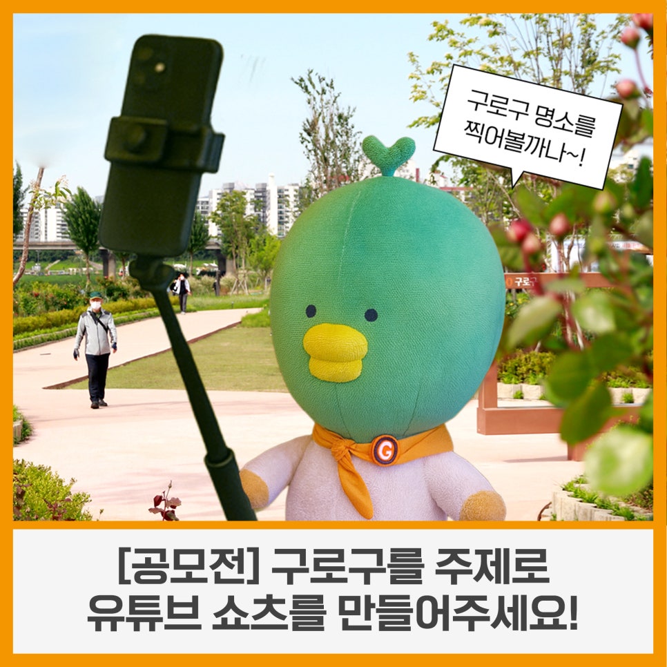브로콜리 지역정보 관련 사진 7