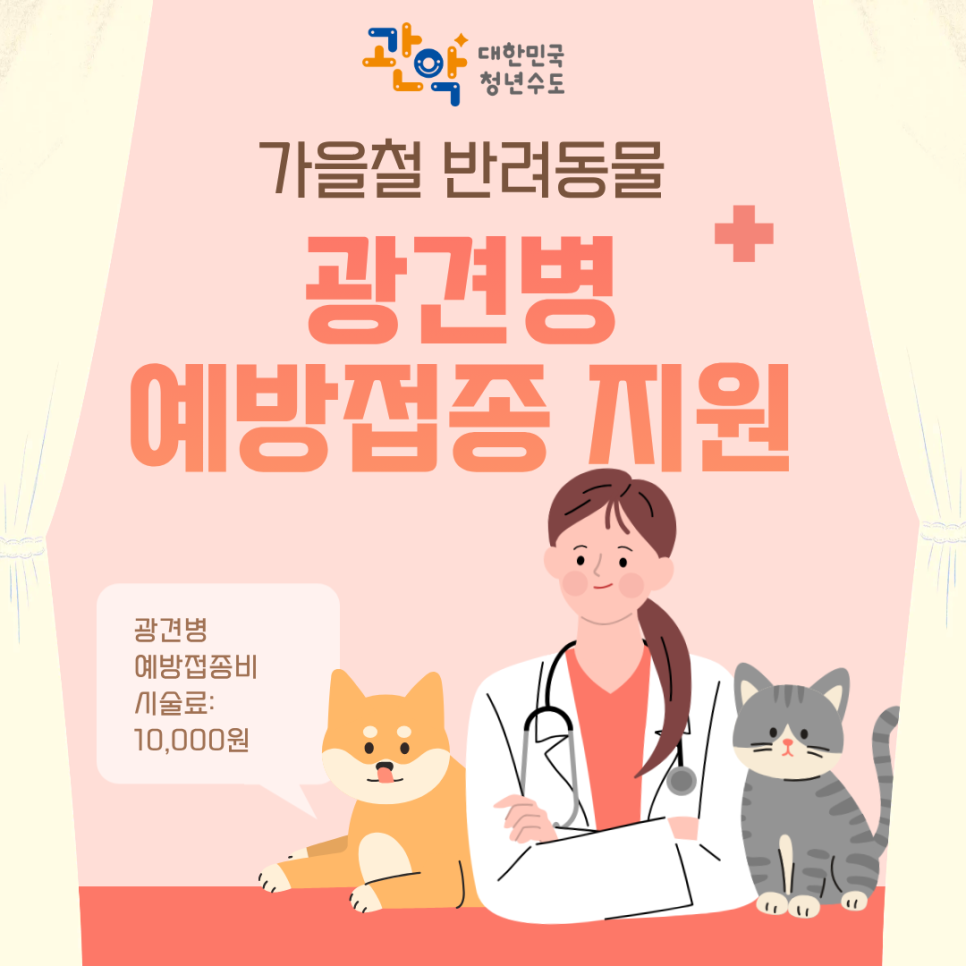 브로콜리 지역정보 관련 사진 1