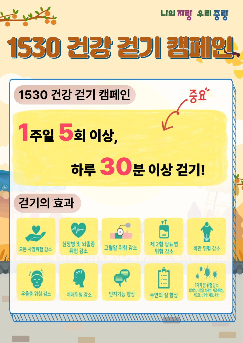 브로콜리 지역정보 관련 사진 3