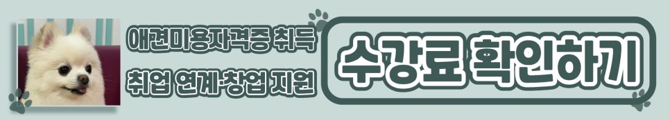 노원애견미용학원, 타 학원과 다른 진짜 차별점은? — 사진 8