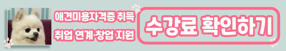 노원애견미용학원, 타 학원과 다른 진짜 차별점은? — 사진 4