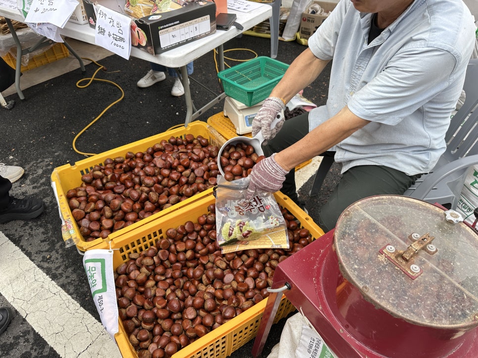 브로콜리 지역정보 관련 사진 5