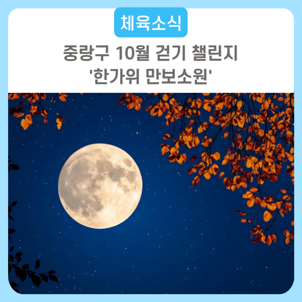 브로콜리 지역정보 관련 사진 4