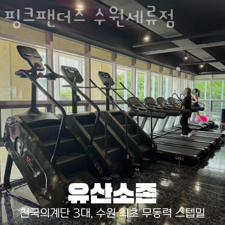 핑크팬더즈수원 이미지
