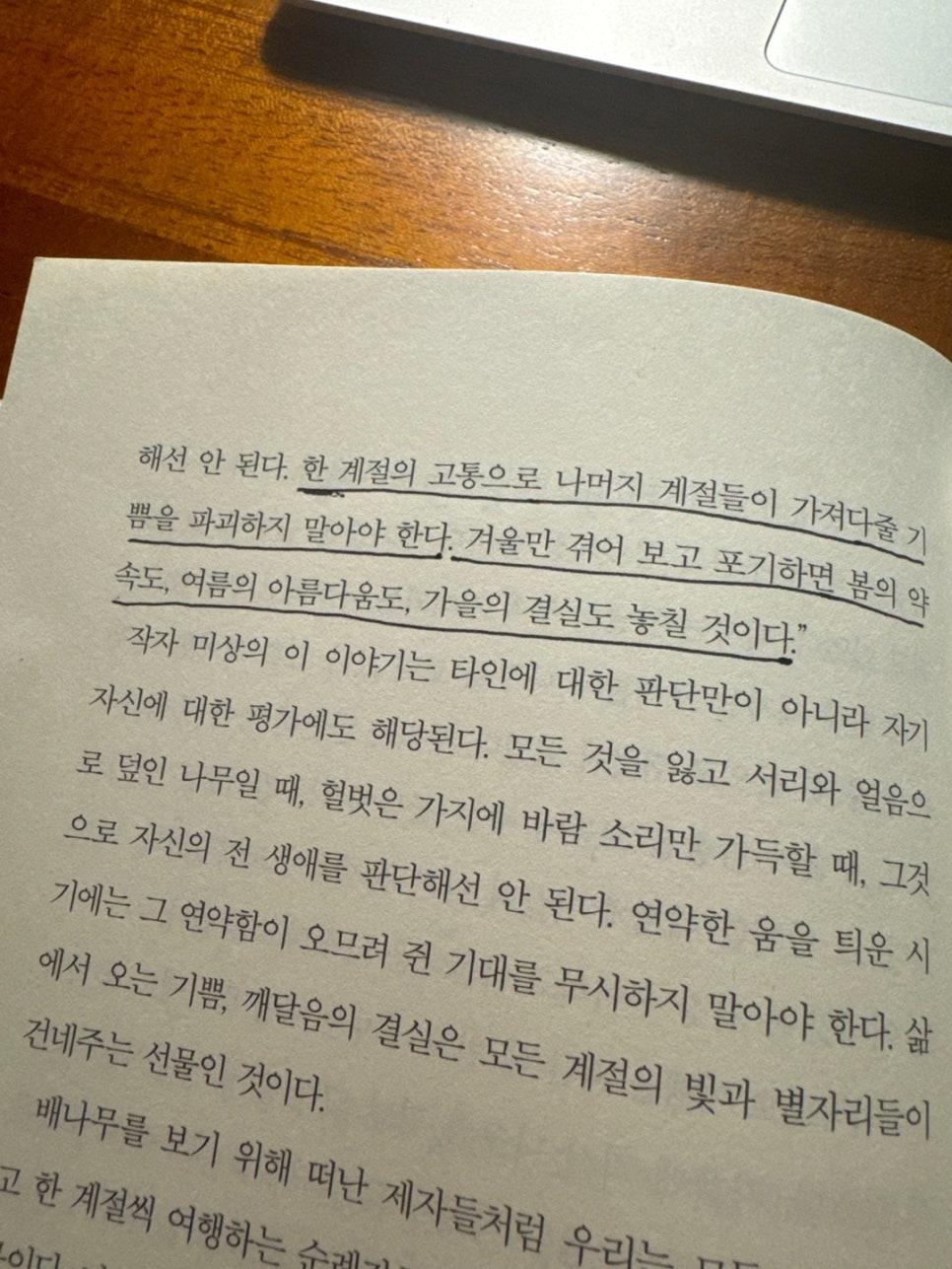 웨이경기광주 이미지
