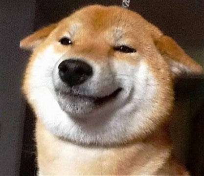 인 이미지
