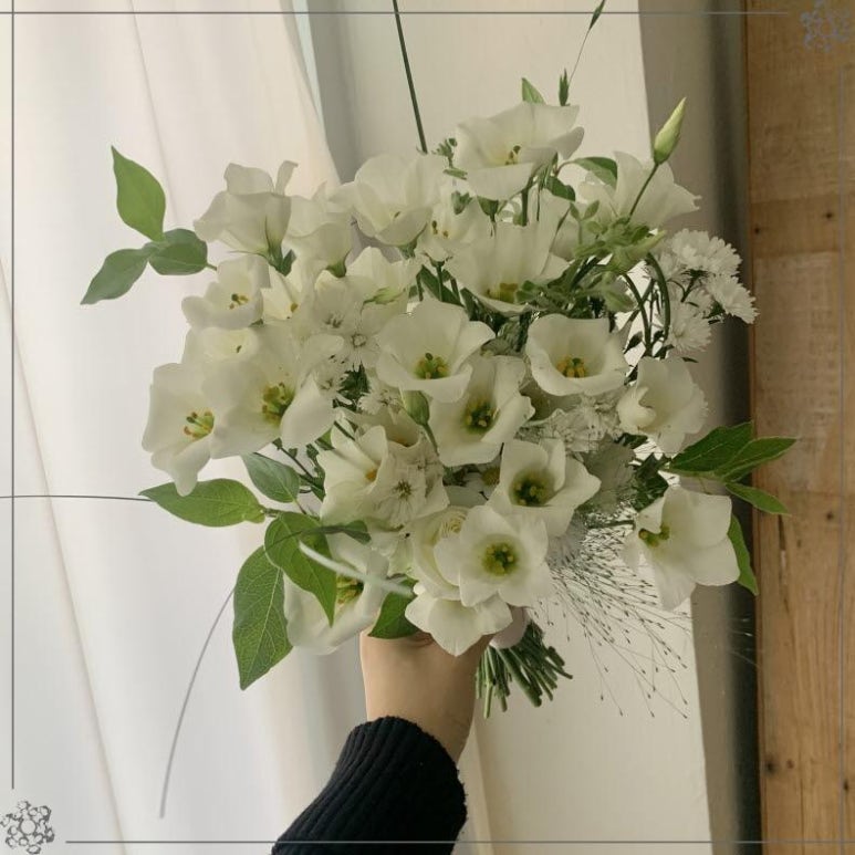아레스&마셀 이미지