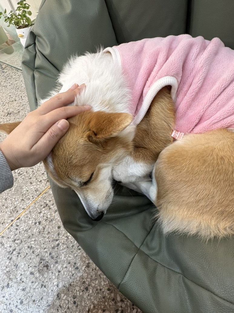 구:움 이미지
