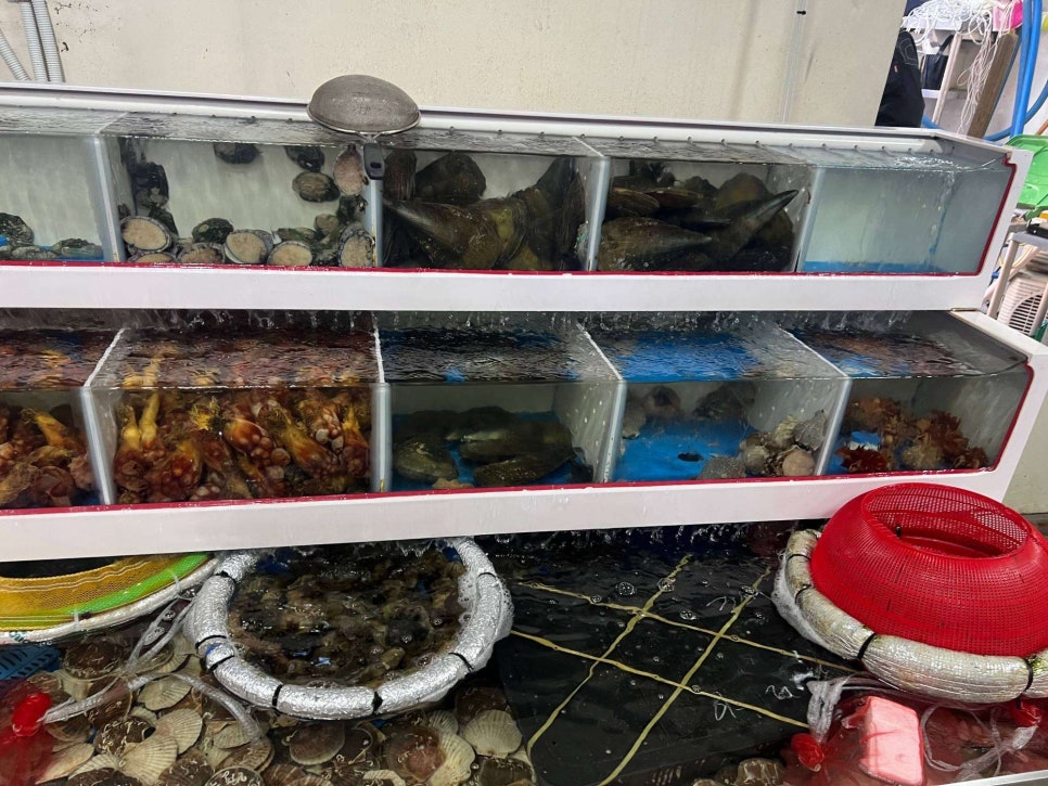 참치공주 이미지