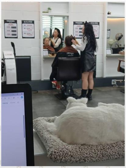 모노헤어 이미지