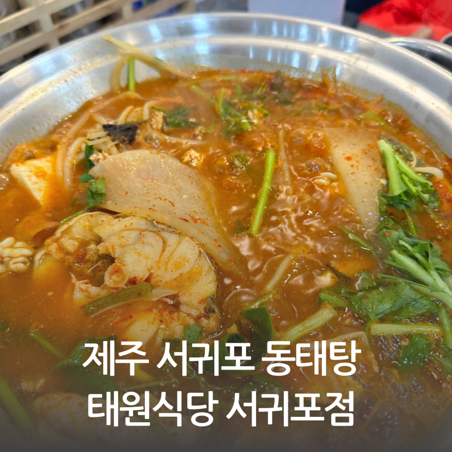 제주태원 이미지