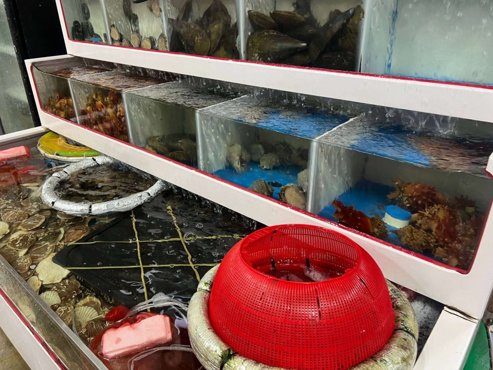 참치공주 이미지