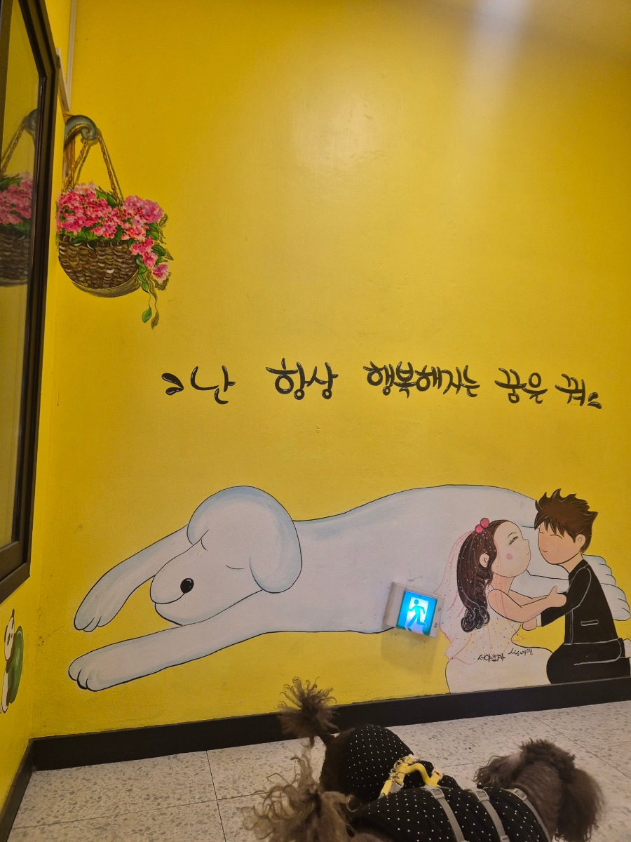 안양 애견카페 위드독, 아이와 강아지 함께 즐기는 실내 놀이터 — 사진 4