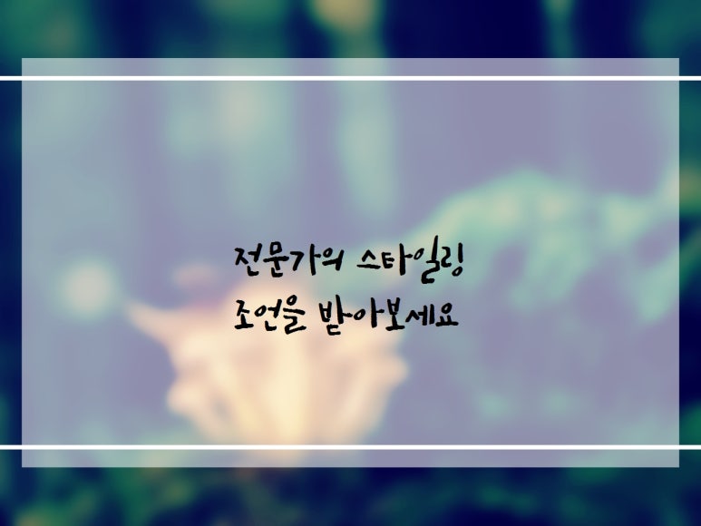 패션랜드 이미지