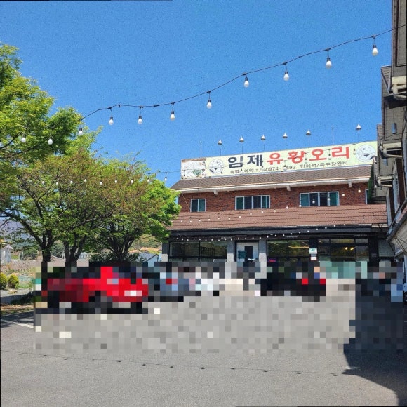 와~오리닭 이미지