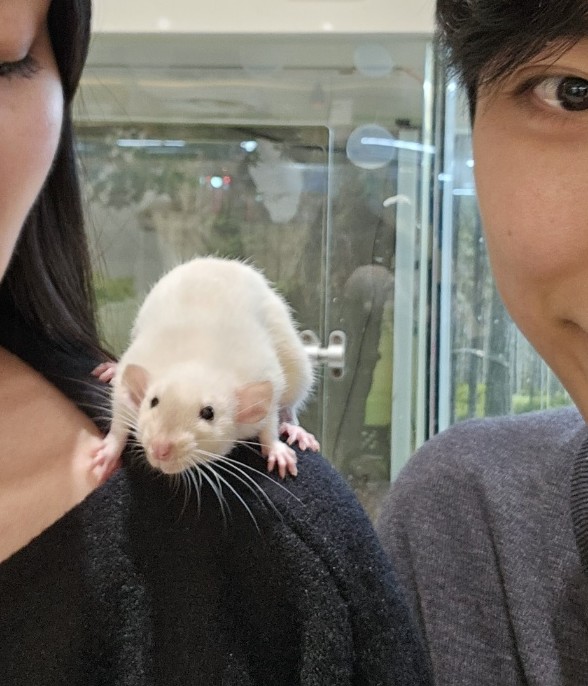 야키토리나루토전포점 이미지