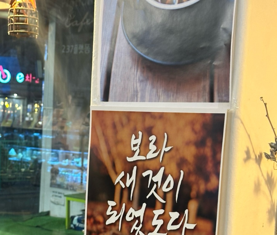 237플랫폼 이미지