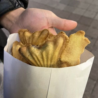회싸나이 이미지