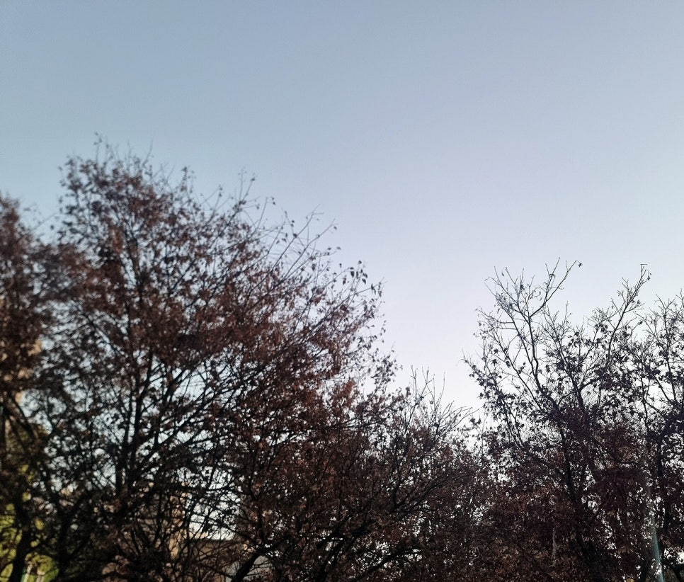 예든미트 이미지