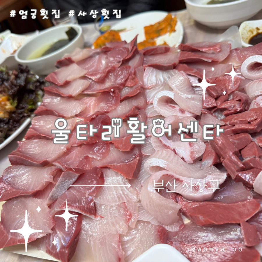 울타리활어센타 이미지