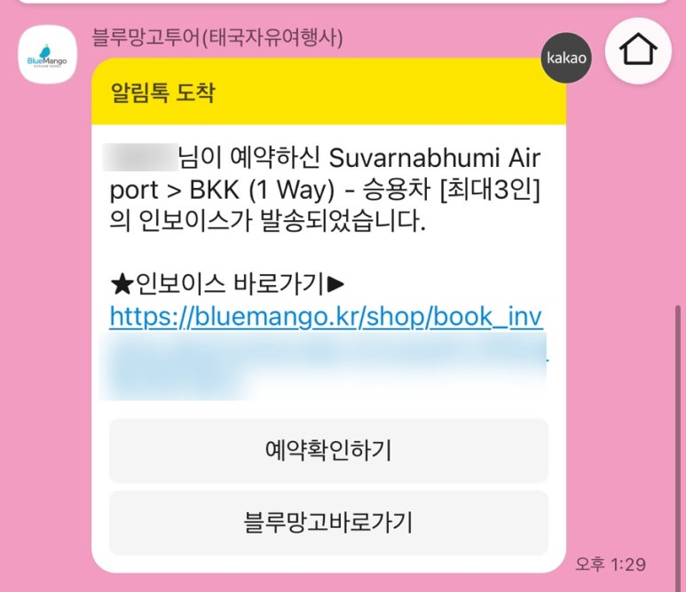 블루망고투어 이미지