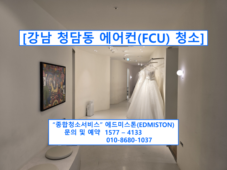 에드미스톤(EDMISTON) 이미지