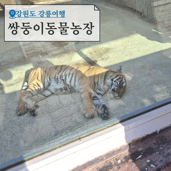 옥계농장 이미지