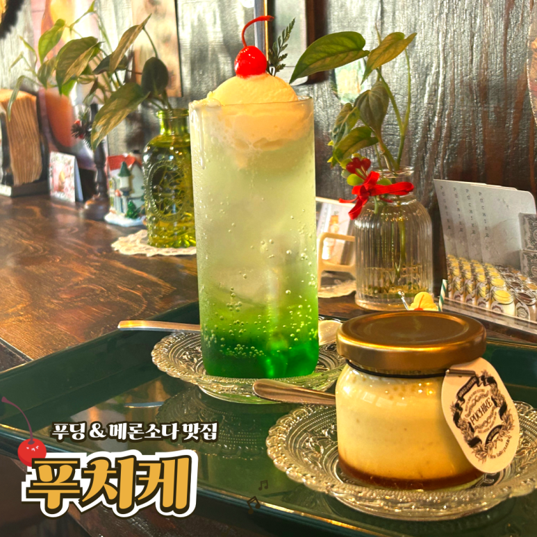 푸치케 이미지