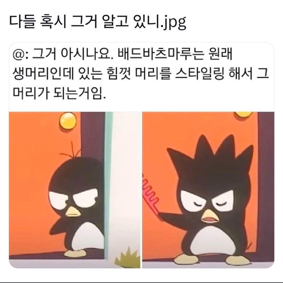 꽃잎하나 이미지