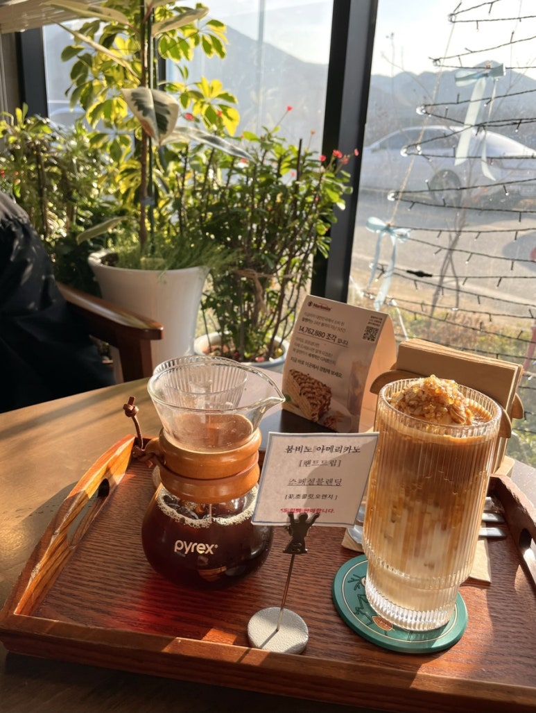 붐비노 이미지