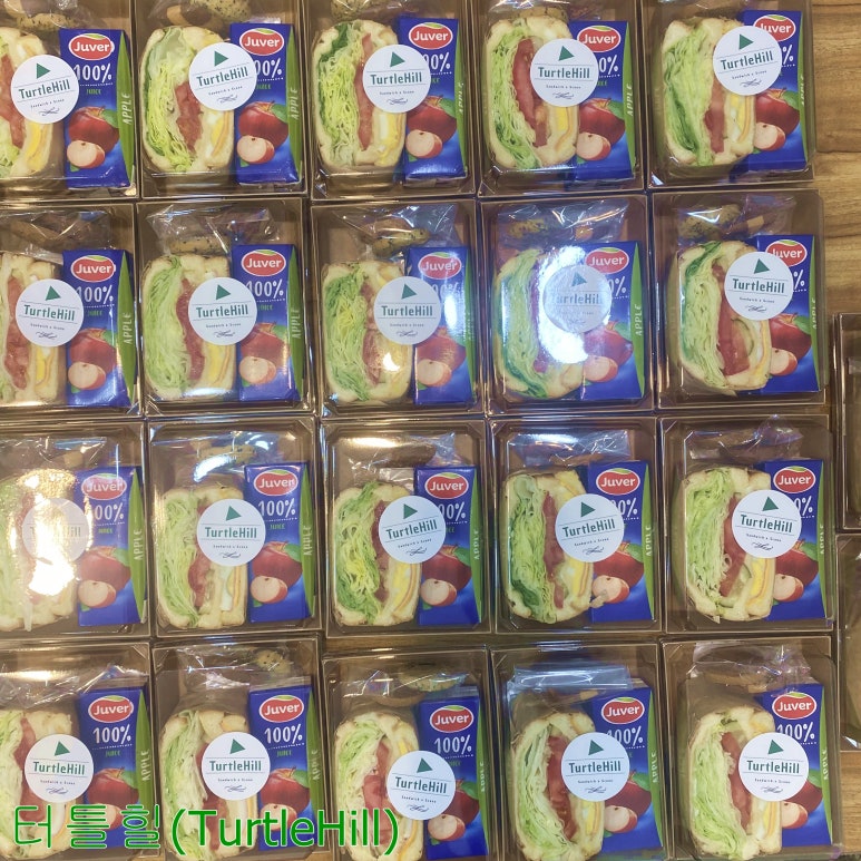 터틀힐 이미지