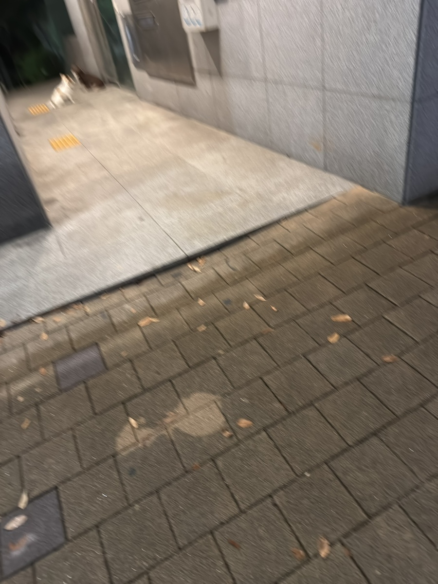 심예성 이미지