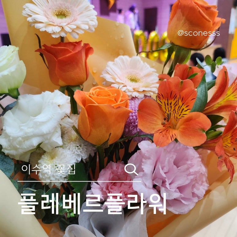 플레베르플라워 이미지