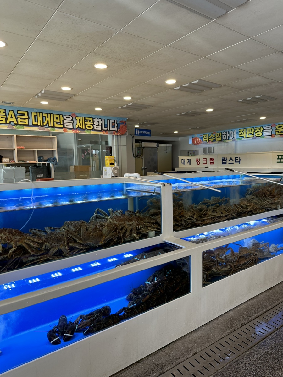 건어물아라 이미지