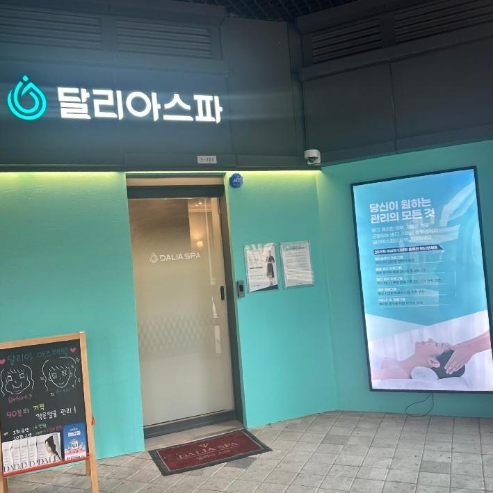 달리아에스테틱 이미지