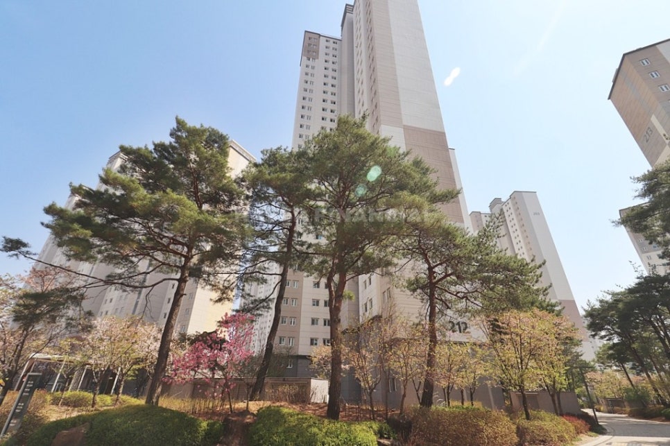 랜드와이즈 이미지