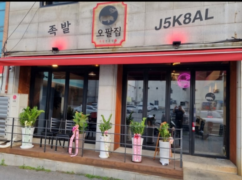오팔집 이미지