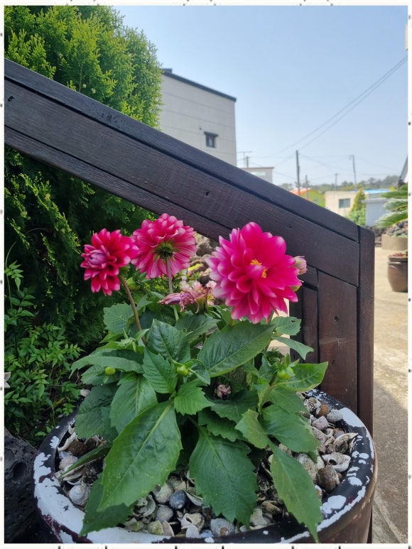 복순이네민박 이미지