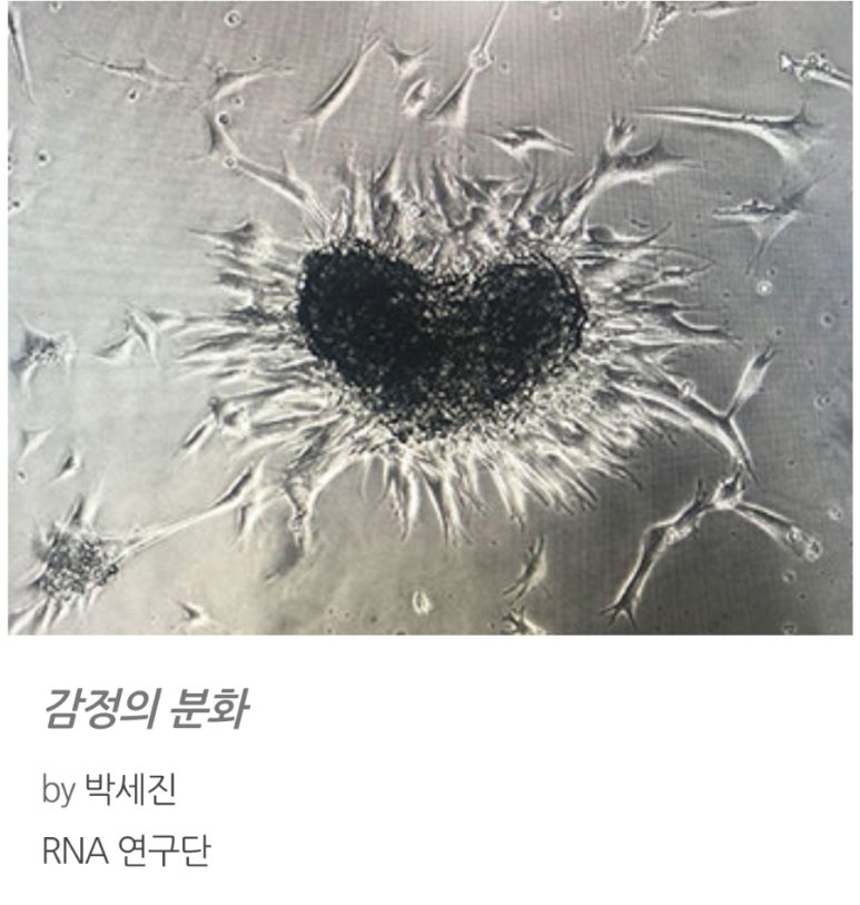 나비공간 이미지