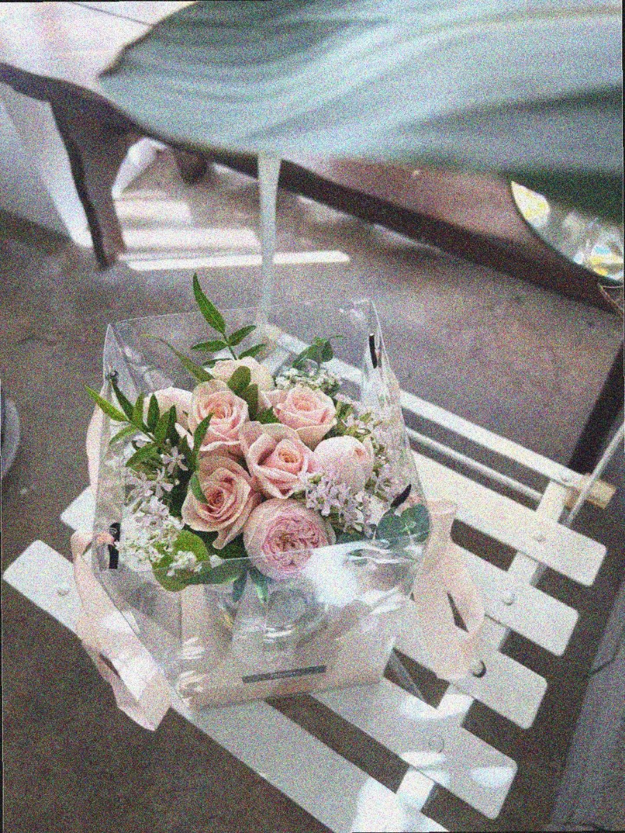 플로미스 이미지