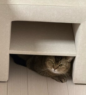 ８８물물 이미지