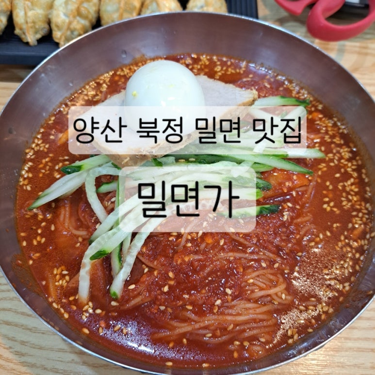 밀면가 이미지