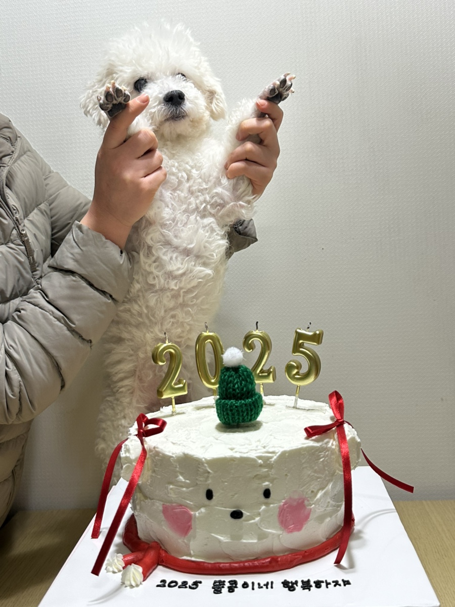 안나엘케이크 이미지