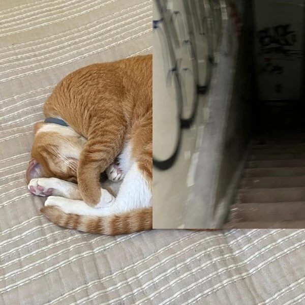 CK사운드 이미지