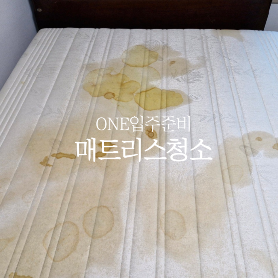 지움 청주점 이미지