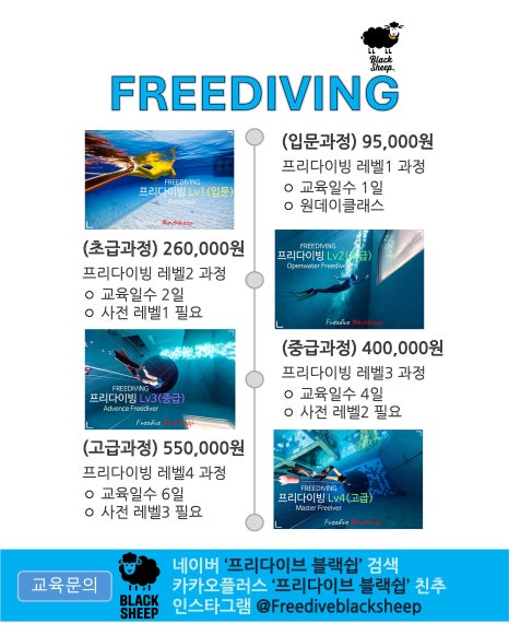 세종프리다이빙 이미지