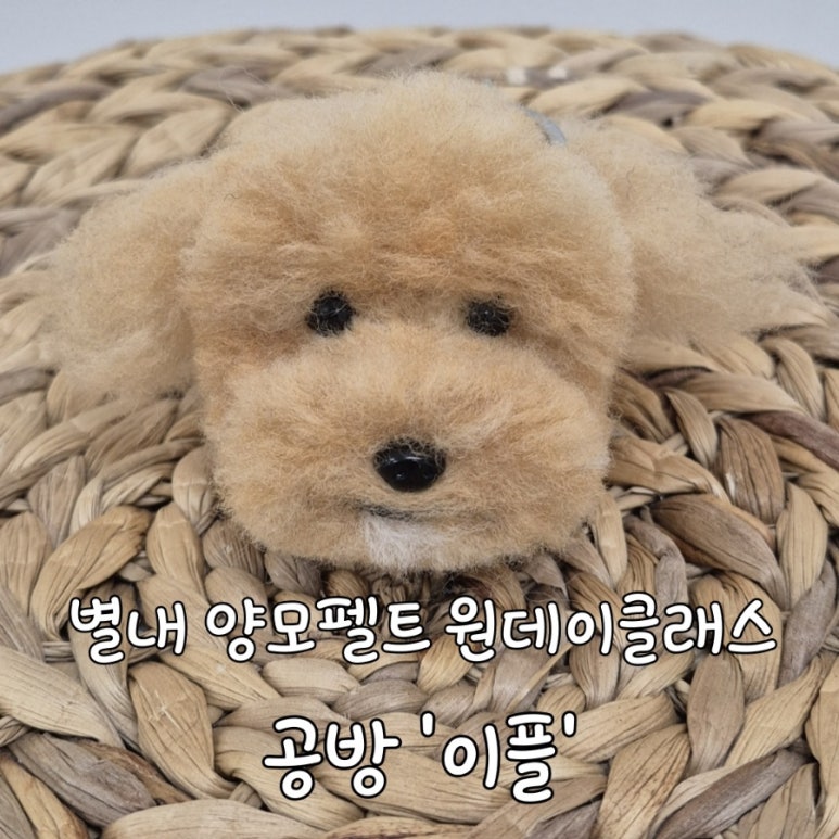 어도어유 이미지