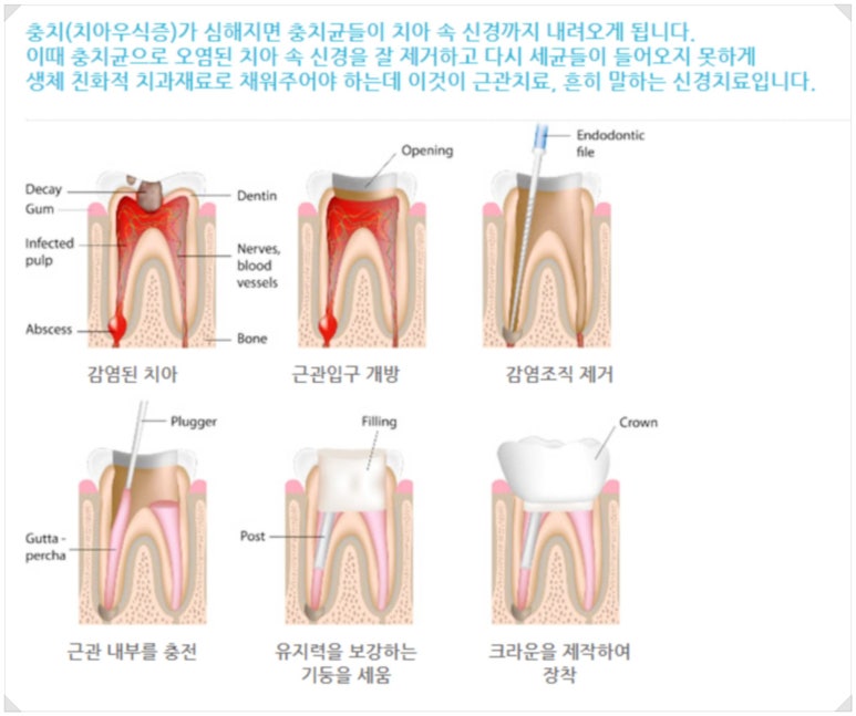 연세프라임치과의원 이미지