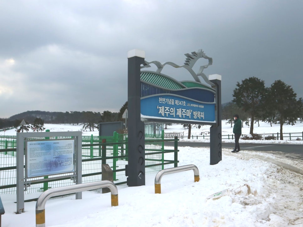 성읍녹차마을영농조합법인 이미지